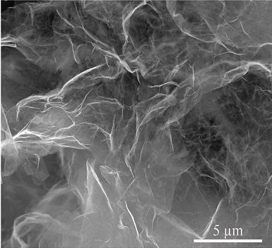 editor1527518470573217.jpg 22.jpg