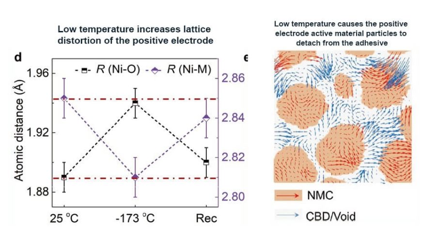 editor1700722707100003.jpeg 低溫儲存損壞的原因